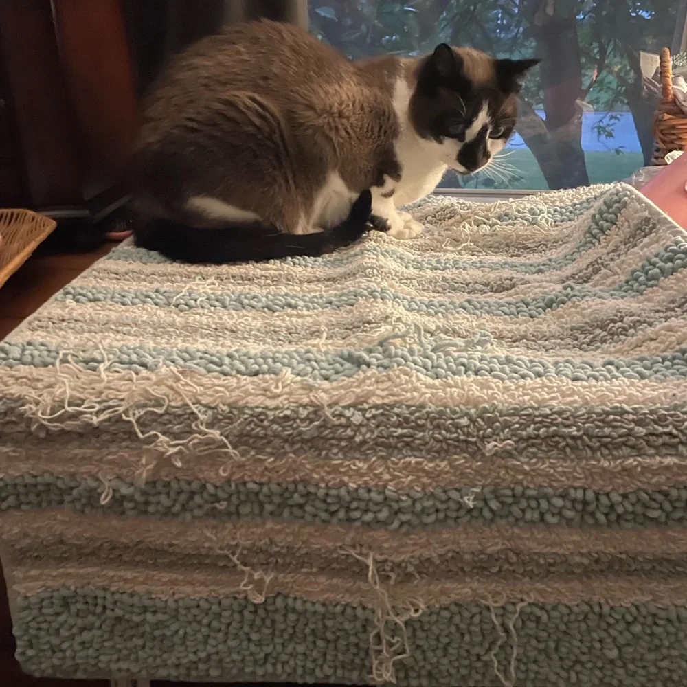 NWT Sonoma Bath Mat | Cat-Crafted | By Timber | Purr-ceived Defects by Design